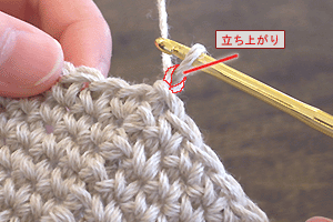 バックこま編み：STEP 01/10