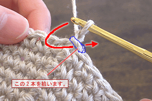 バックこま編み：STEP 02/10