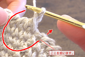バックこま編み：STEP 09/10